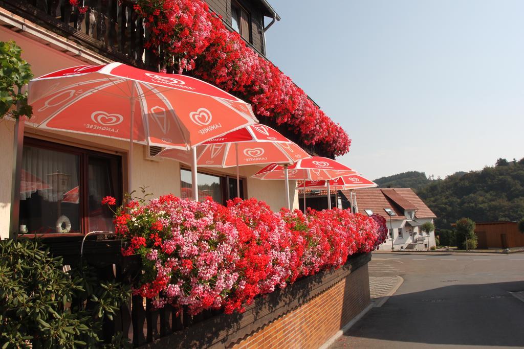 Landgasthof Hotel Sauer Willingen  Eksteriør billede